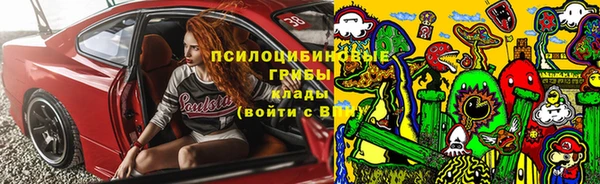 apvp Балахна