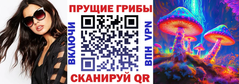 Псилоцибиновые грибы прущие грибы  что такое наркотик  Болхов 